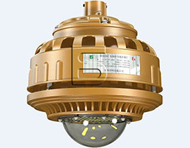 FGV1208-LED 免維護(hù)節(jié)能防爆燈